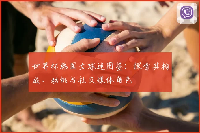 世界杯韩国女球迷图鉴：探索其构成、动机与社交媒体角色