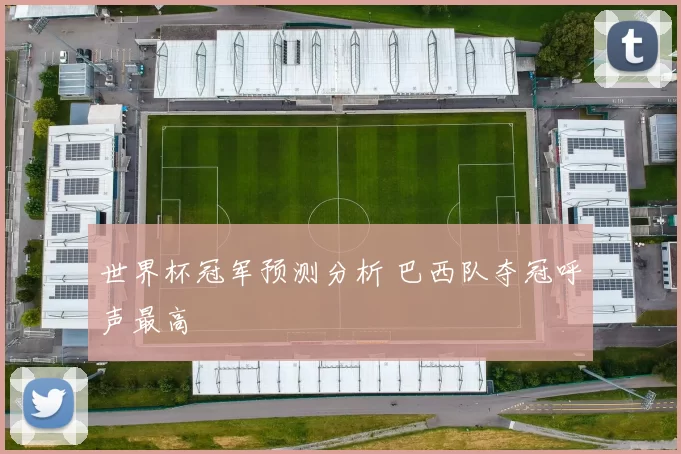 世界杯冠军预测分析 巴西队夺冠呼声最高