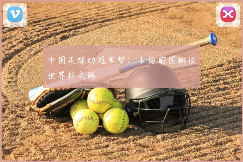 中国足球的冠军梦：专访前国脚谈世界杯之路