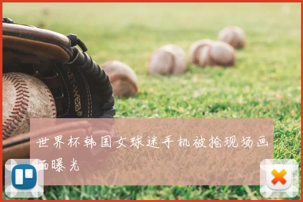 世界杯韩国女球迷手机被抢现场画面曝光