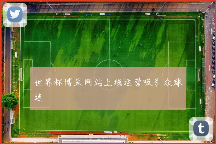 世界杯博采网站上线运营吸引众球迷