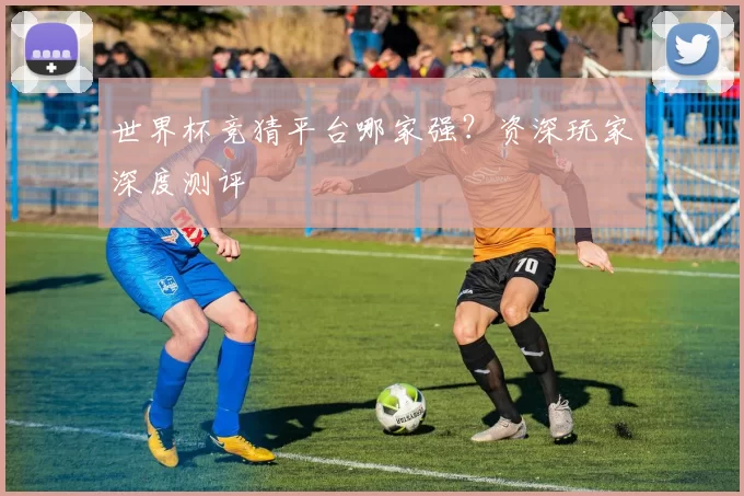 世界杯竞猜平台哪家强？资深玩家深度测评