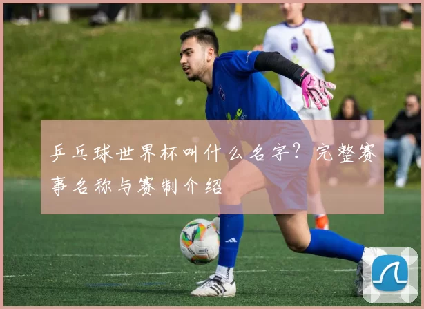 乒乓球世界杯叫什么名字？完整赛事名称与赛制介绍