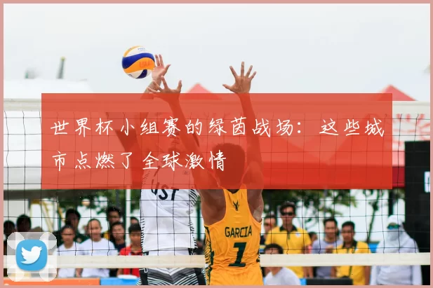 世界杯小组赛的绿茵战场：这些城市点燃了全球激情