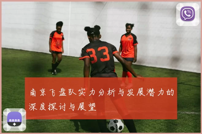 南京飞盘队实力分析与发展潜力的深度探讨与展望